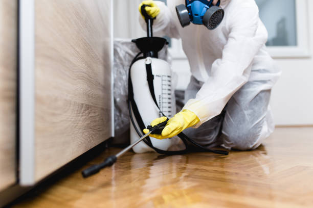 Pest Prevention Services in Cherry Valley, IL