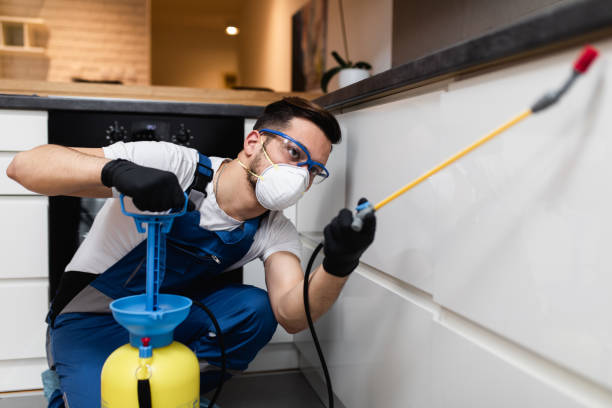 Best Rat Extermination Near Me  in Cherry Valley, IL