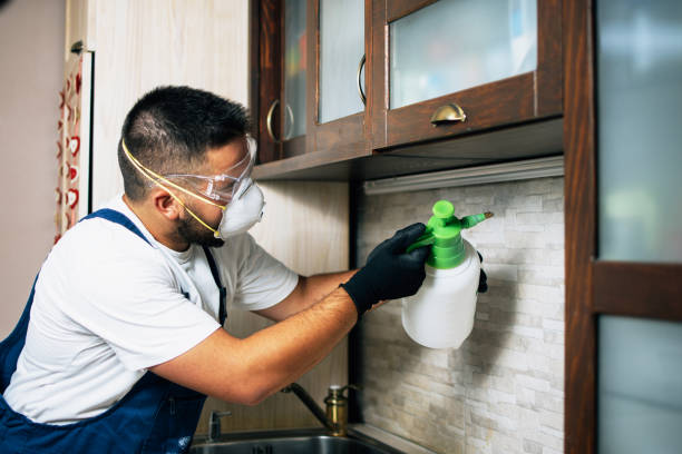 Best Local Pest Control Services  in Cherry Valley, IL