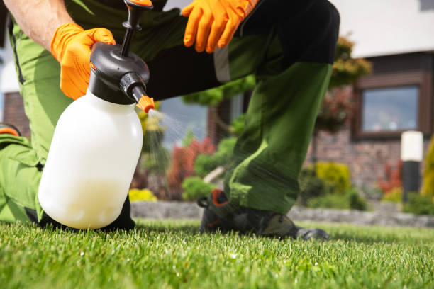 Best Affordable Pest Control Services  in Cherry Valley, IL