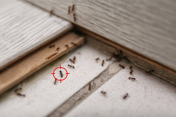 Best Wildlife Control Services  in Cherry Valley, IL