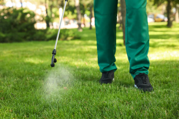 Best Mosquito Control Services  in Cherry Valley, IL