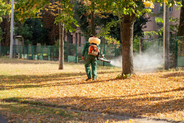 Best Pest Removal Services  in Cherry Valley, IL