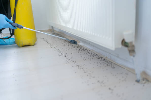 Best Emergency Pest Control  in Cherry Valley, IL