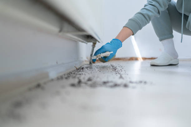 Pest Control Cost in Cherry Valley, IL