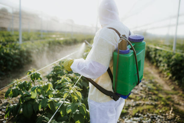Best Pest Control Near Me  in Cherry Valley, IL